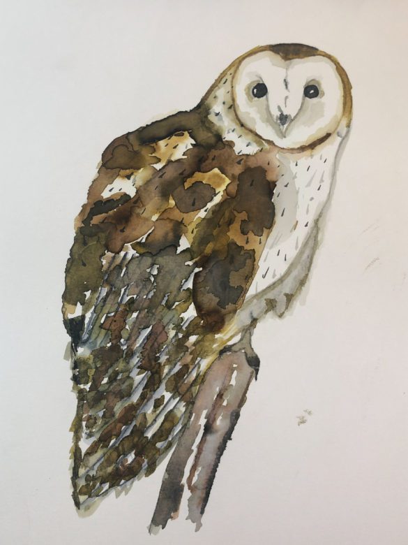 Lets Make Art Barn Owl by Bass scaled