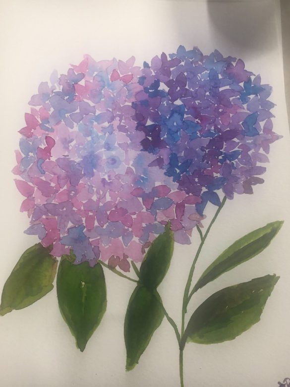 Lets Make Art Hydrangeas by Bass scaled