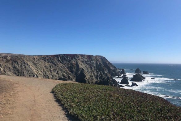 A view of the cliffs at Bodega Head