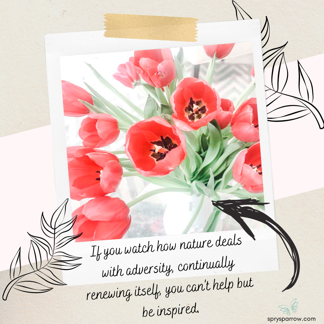 Fresh red tulips, nature's inspiration for renewal