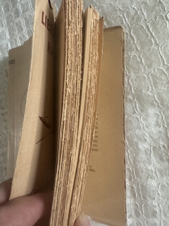 A novel titled "Who I Dare To Love", written in French and purchased used. The pages are yellowed and have lovely deckled edges.