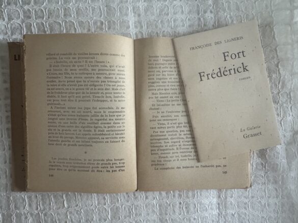 A picture of a novel in French. It's well worn, yellowed and purchased used. Translated, the title reads: Who I Dare To Love