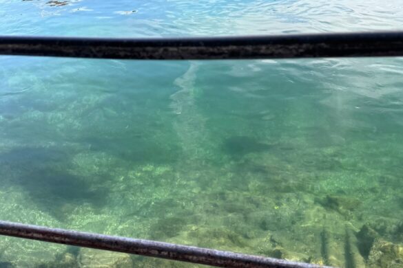 Clear green water in Lucerne’s river