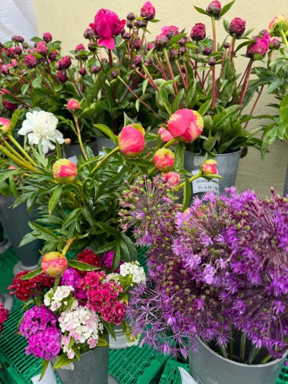 Buckets of fresh-cut flowers at the Lucerne market, including pink peonies, purple alliums, and mixed carnations, arranged in galvanized vases on a green crate base.