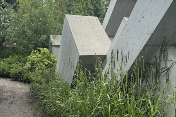 Concrete steps entrance surrounded by plants at Glacier Gardens in Lucerne.