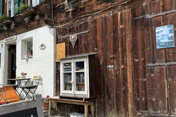Rustic wooden chalet with green shutters, flower boxes, and small outdoor bookshelf by the entrance