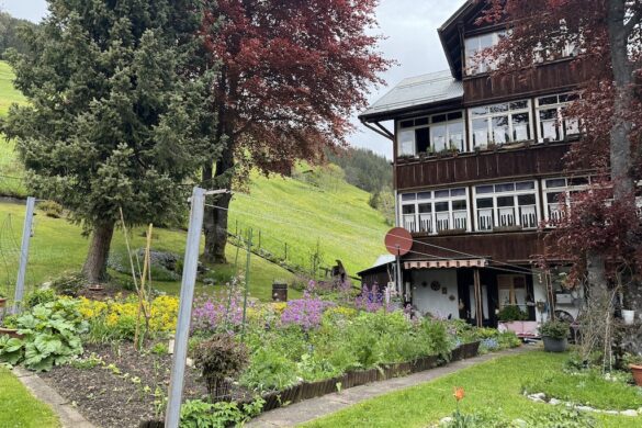 Traditional wooden chalet with garden beds of flowers and vegetables, tall trees and hills behind