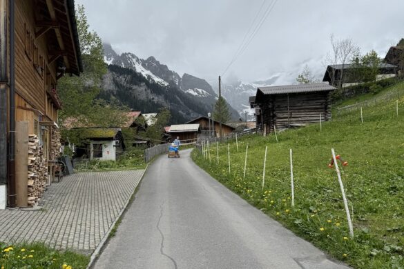 Paved lane lined with wooden houses and barns, fading into snowy mountain peaks under cloud cover