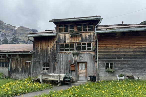 Large barn with dark wooden siding and small windows, wildflowers in the grass and mountains behind
