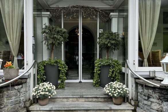 White stone steps leading to the entrance of Hotel Silberhorn in Lauterbrunnen, decorated with potted plants and green curtains in the windows