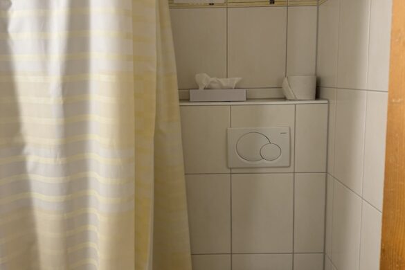 White tiled hotel bathroom with shower curtain, wall mounted tank, and toilet at Hotel Silberhorn in Lauterbrunnen, Switzerland