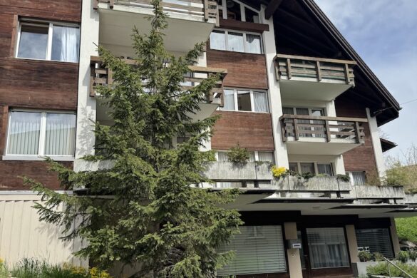 Multi-story chalet-style apartment building with balconies and a pine tree in front on a sunny afternoon in Mürren