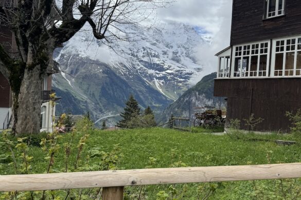 Wooden fence and grassy yard with a bare tree at left and chalet at right in Mürren; snow-covered mountain rising behind low clouds