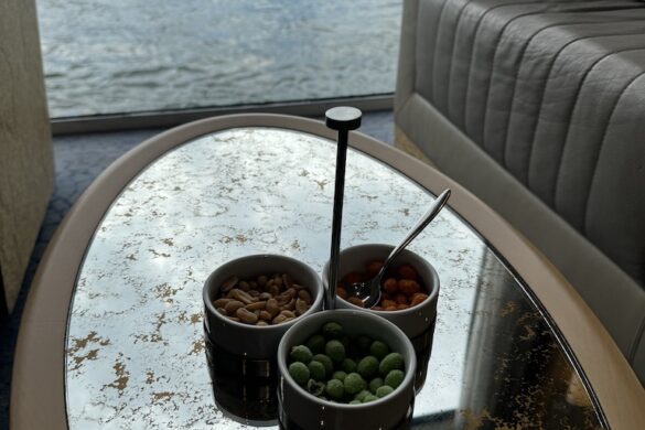 View from the water-level lounge aboard the Viking Alruna showing potted plants and small snack bowls on a table beside large windows overlooking the river