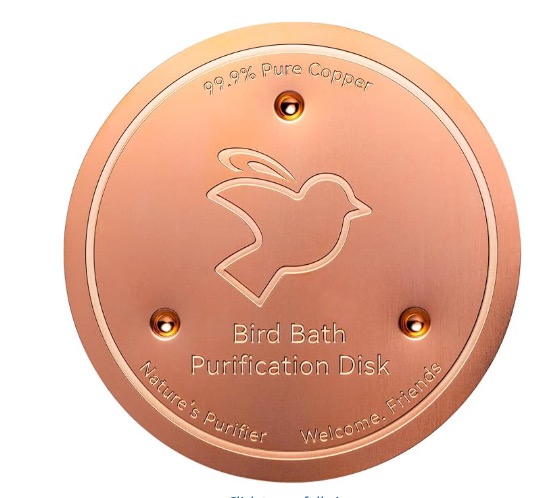 Copper bird bath purification disk