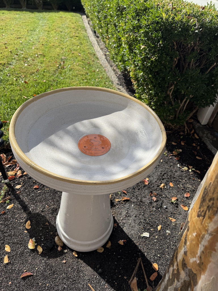 White birdbath with a copper purification disk in the basin, set in a sunlit garden with green hedges behind it.