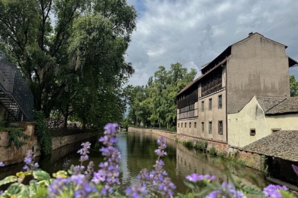 Canal lined with half-timbered houses and flowers in La Petite France, Strasbourg