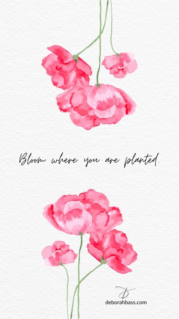 pink watercolor flowers with green stems on white textured background with the handwritten quote Bloom where you are planted