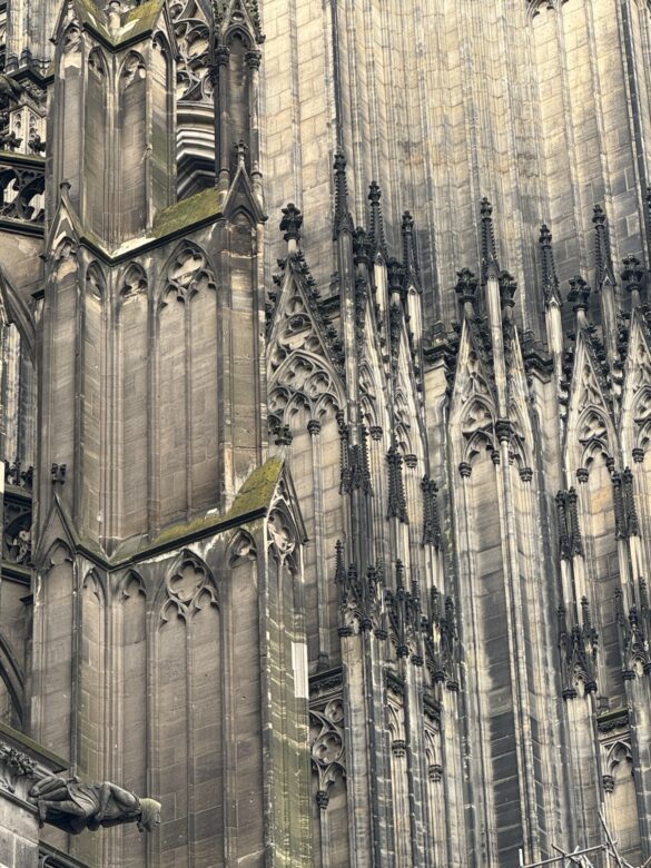 Close view of Cologne Cathedral Gothic stonework with pinnacles, tracery, and moss along the ledges