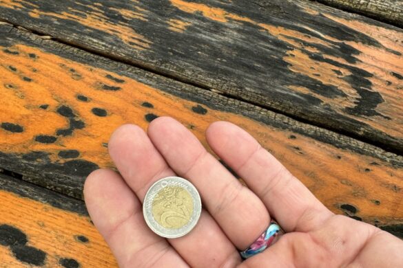 hand holding two euro coin received for returning tray at beer garden