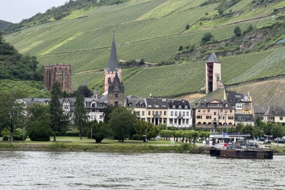 Terraced vineyards covering hillside above a village along the Rhine River