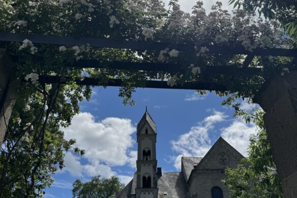 St. Castor Basilica tower framed by green trees and blue sky