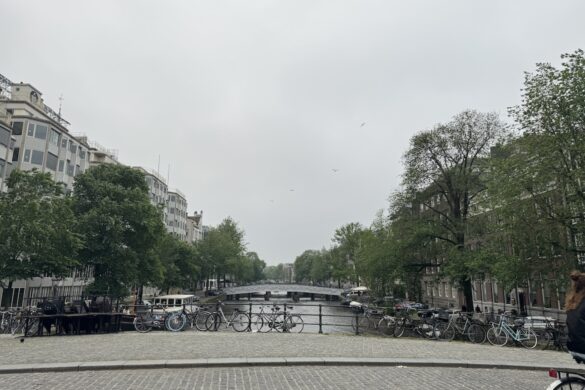 tree lined canal in amsterdam with boats and historic canal houses along the water