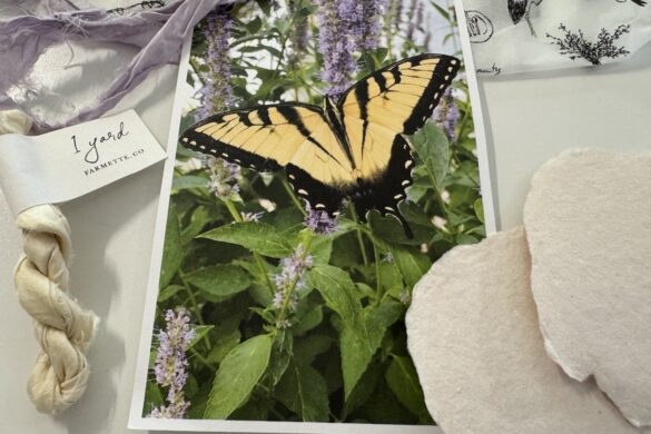 Butterfly Postcard and Silk Ribbon Butterfly postcard, silk ribbon, and handmade paper from the Farmette Card Subscription.