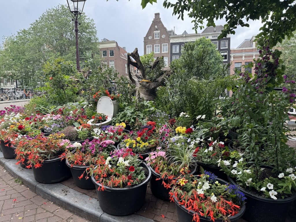 Unexpected Flower Garden in Amsterdam Colorful flower display with a toilet planter on an Amsterdam street corner
